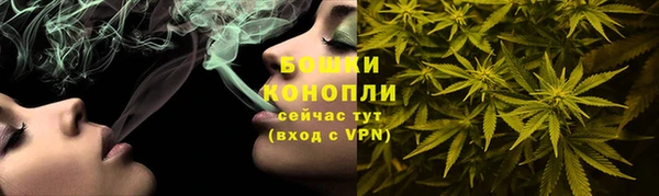 тгк Гусь-Хрустальный