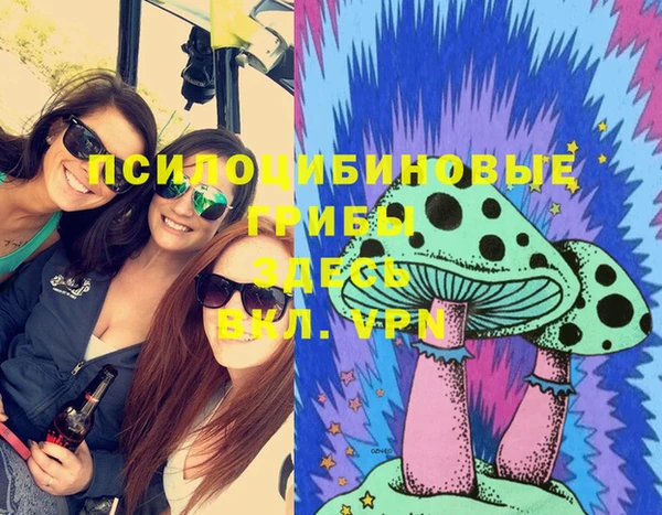мдпв Гусиноозёрск