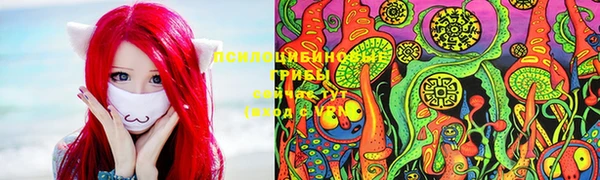 дживик Гусев