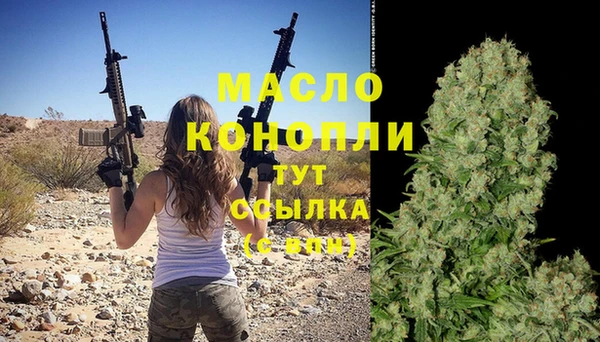 дживик Гусев