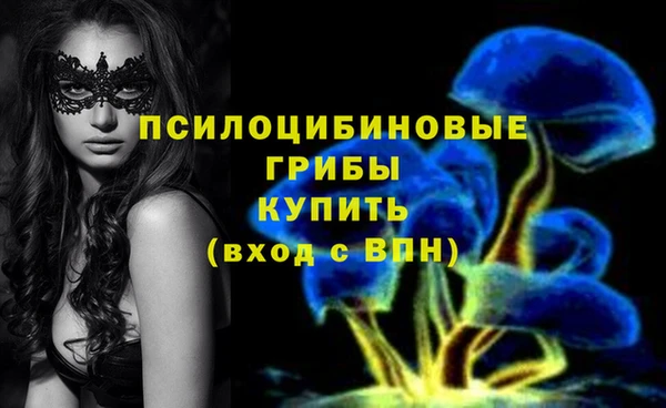 мдпв Гусиноозёрск